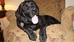 Panting has begun, but only time will tell when the big event will occur.