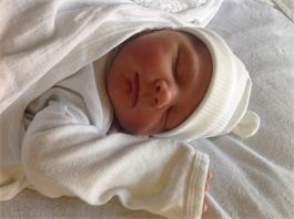 A sweet new baby joins our family