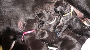 Brand new and nursing already