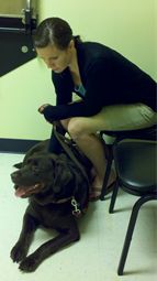 Shiloh in the Vet's office
