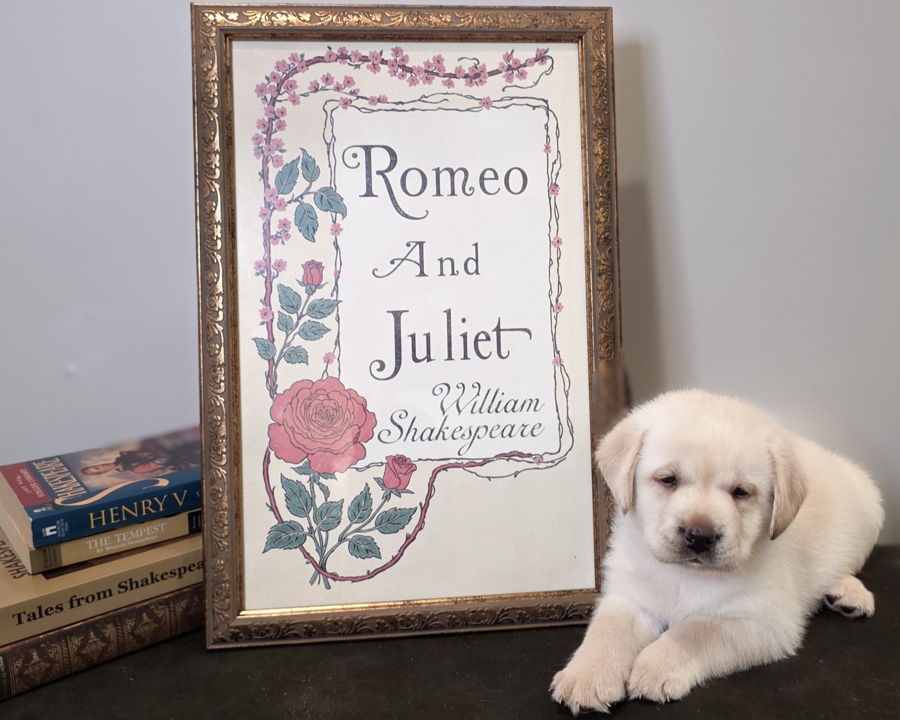 Romeo posed beside a framed Romeo and Juliet illustration