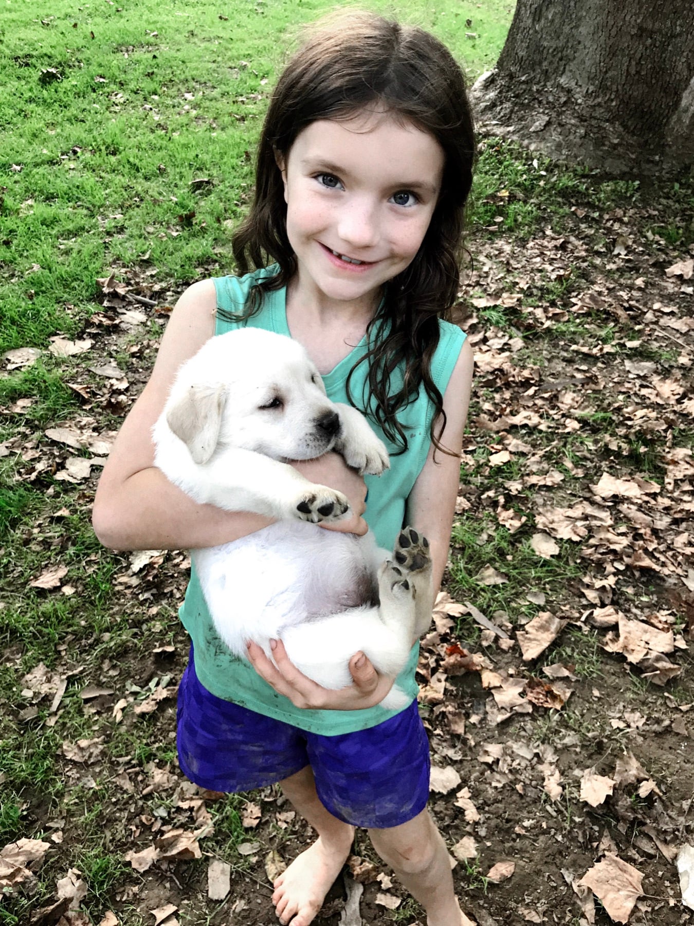 Young Kingridge family member holding a yellow Labrador puppy