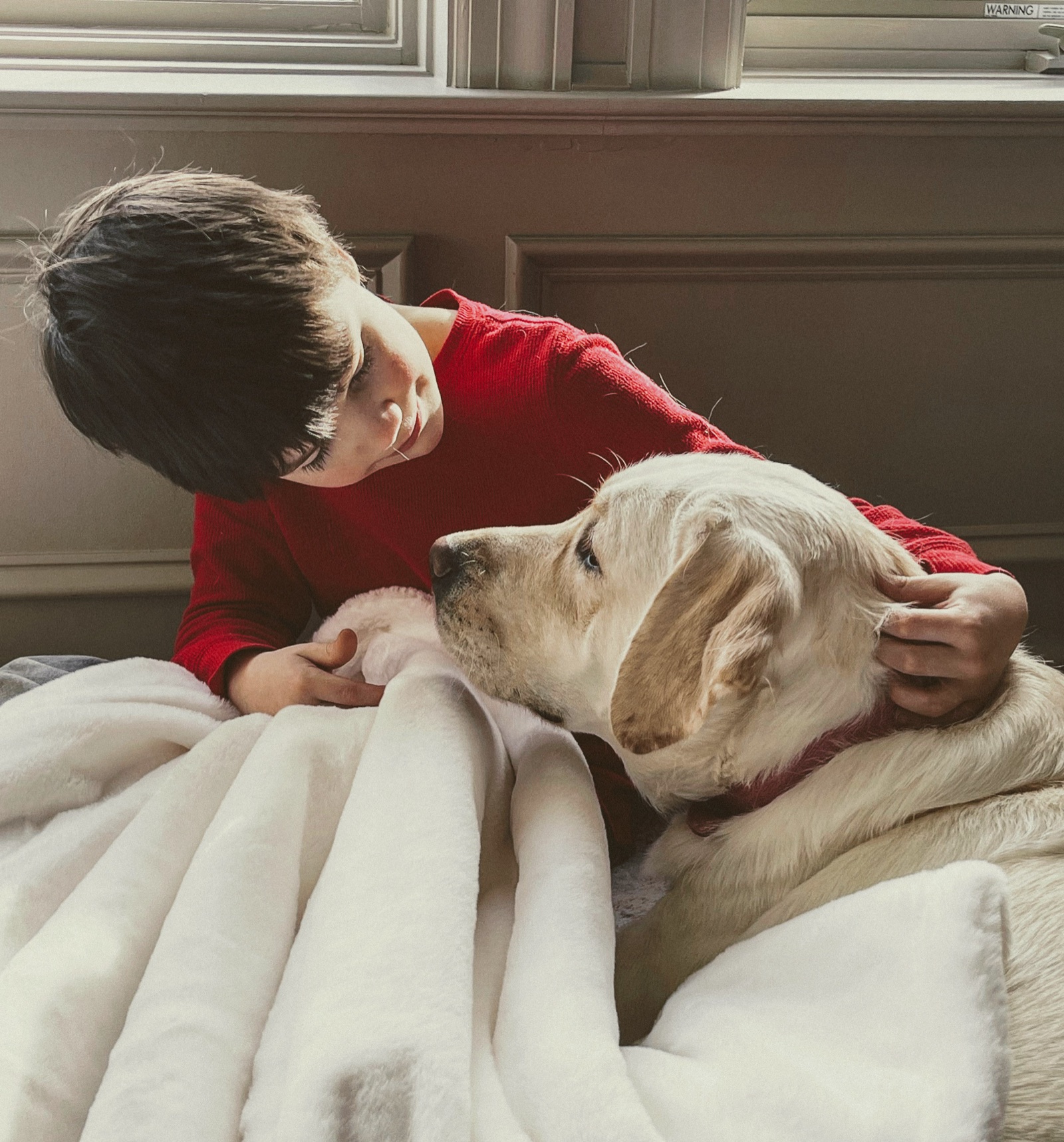 Christian holding Willow, a light cream English Labrador