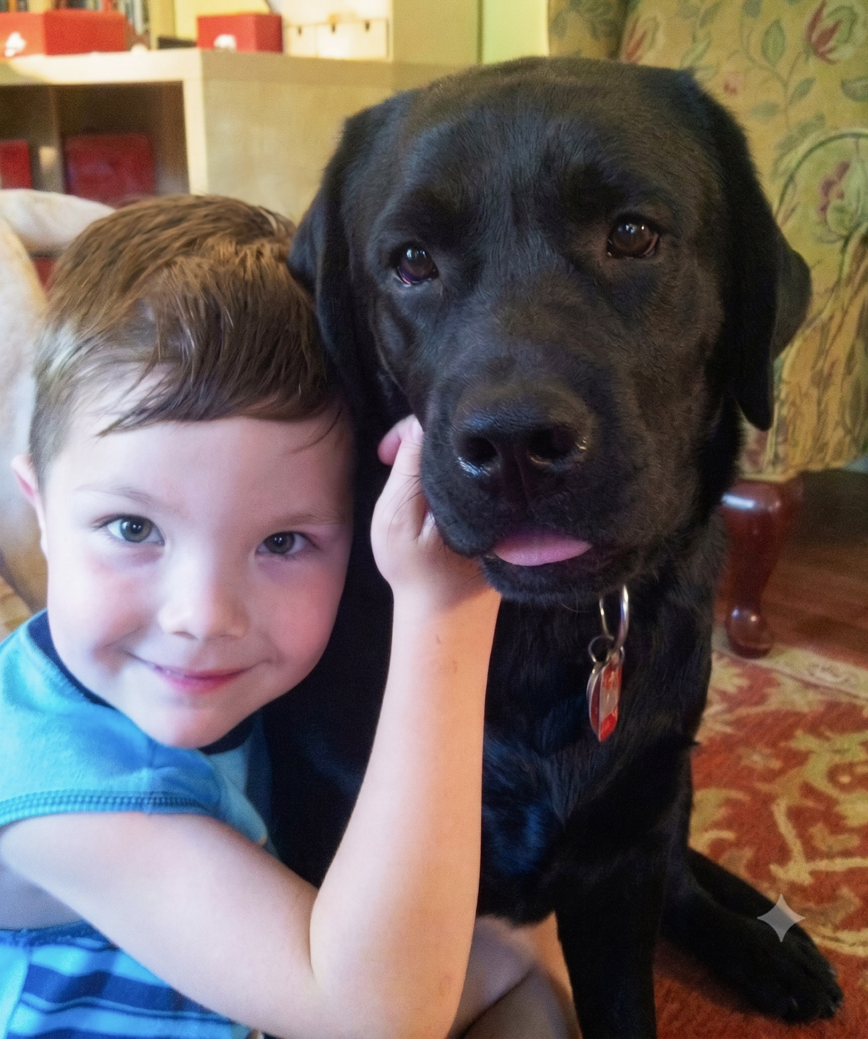Eden, a black Kingridge English Labrador, with a young family member