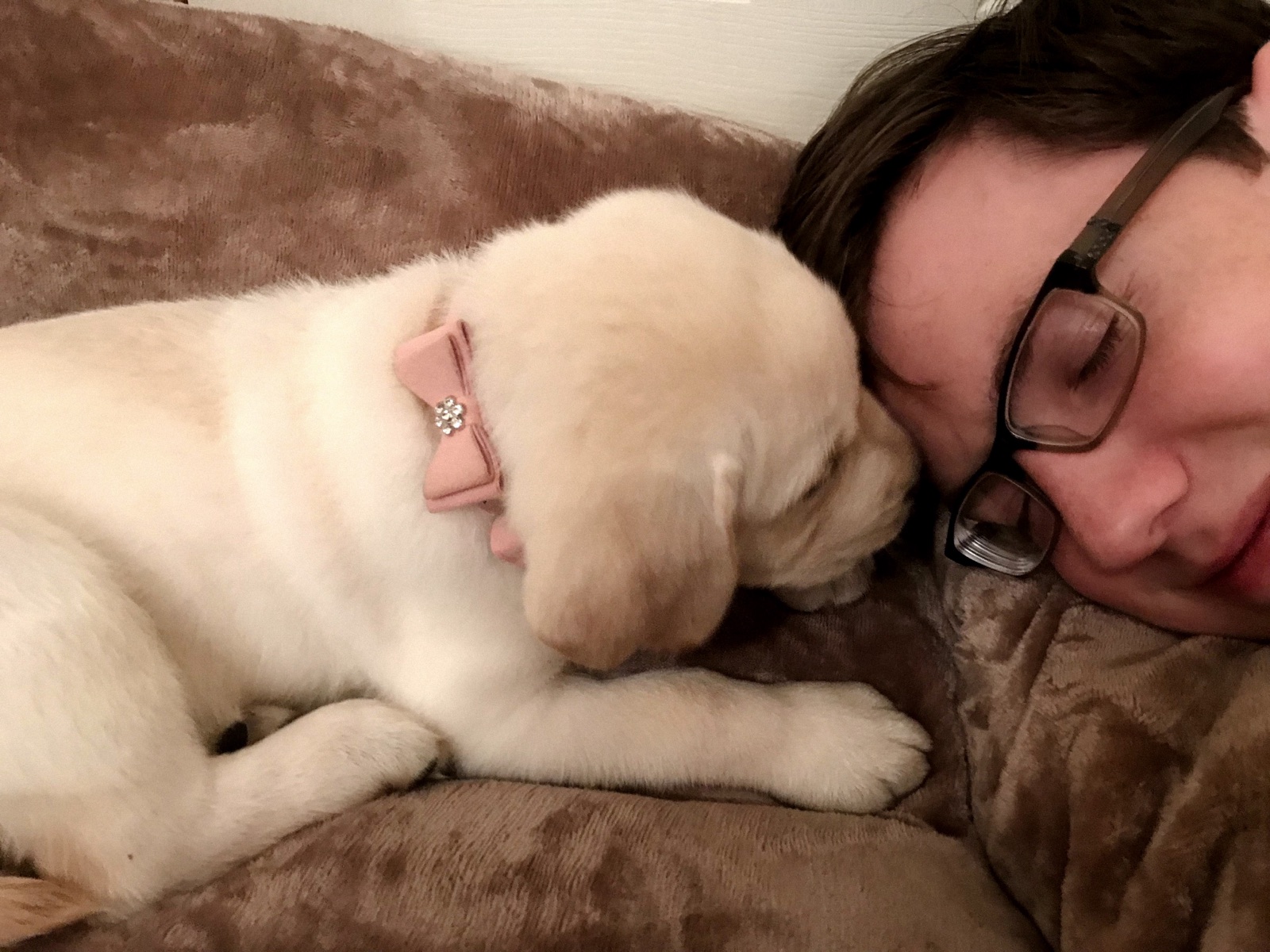Young Kingridge family member relaxing with Willow
